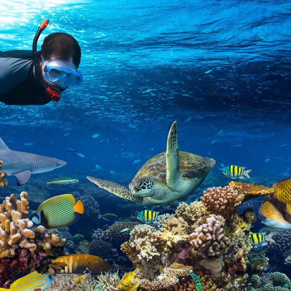 snorkel in cancun tour