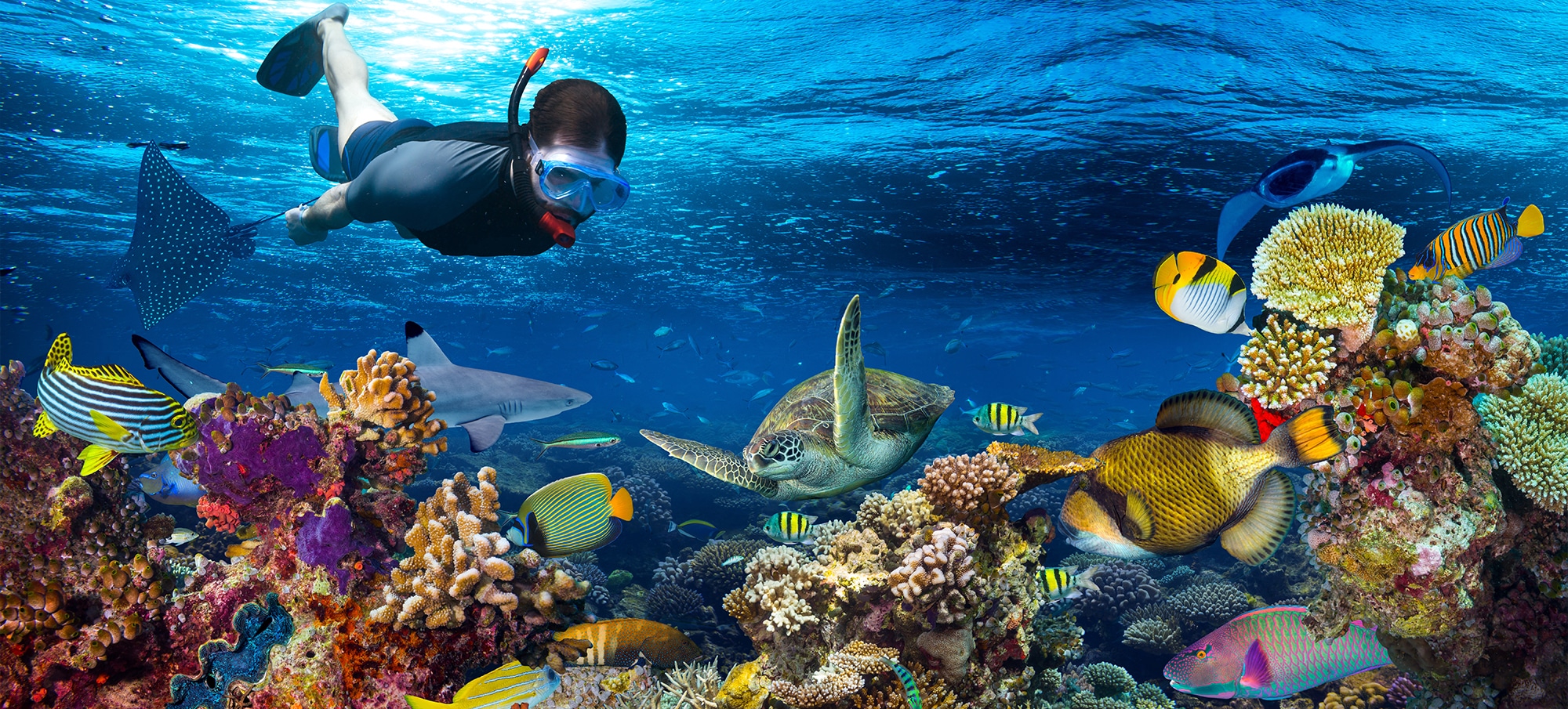 snorkel in cancun