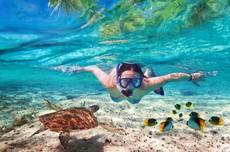 snorkeling in cancun mexico