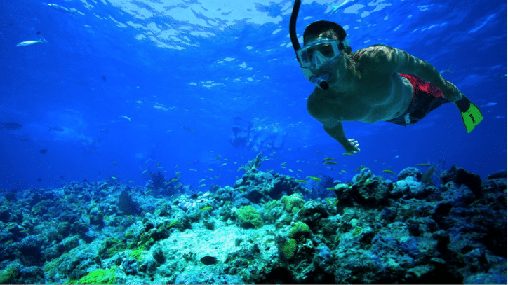best place to snorkel in cancun