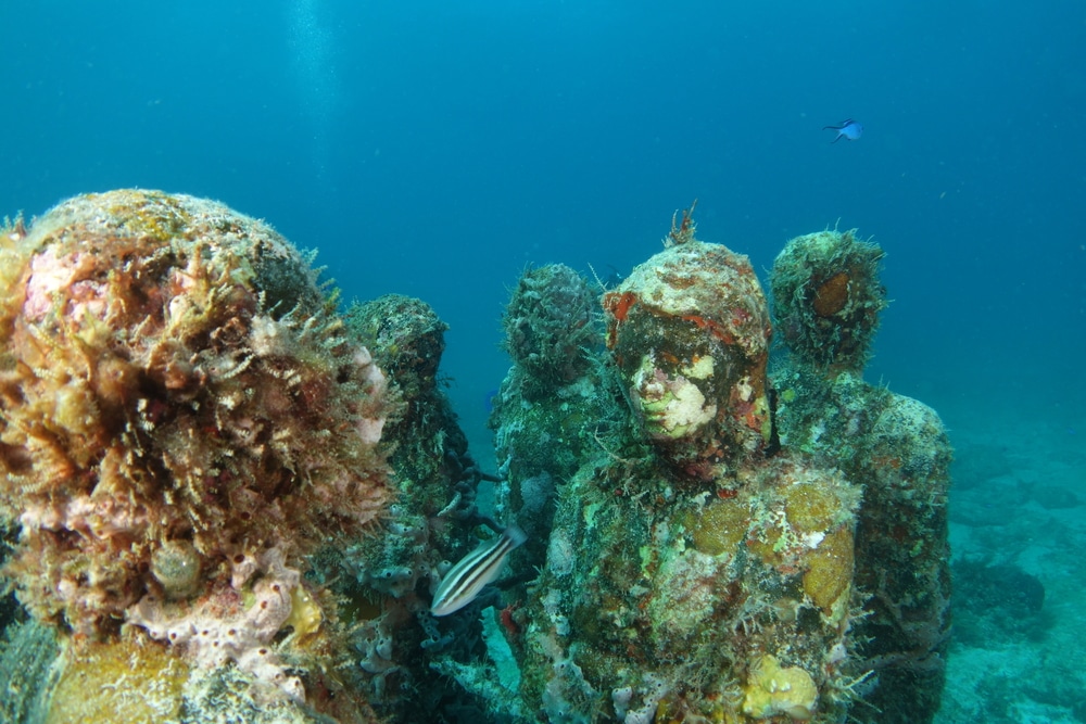 musa snorkel cancun