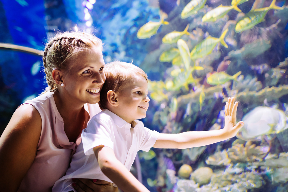 family aquarium activities for kids in cancun