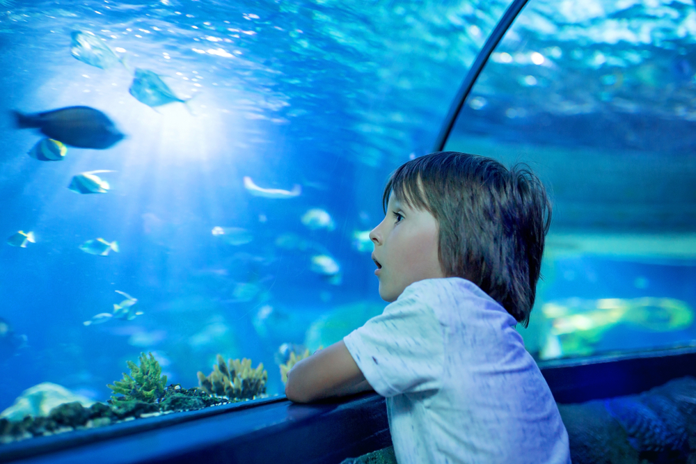 underwater world for kids activities for christmas in cancun