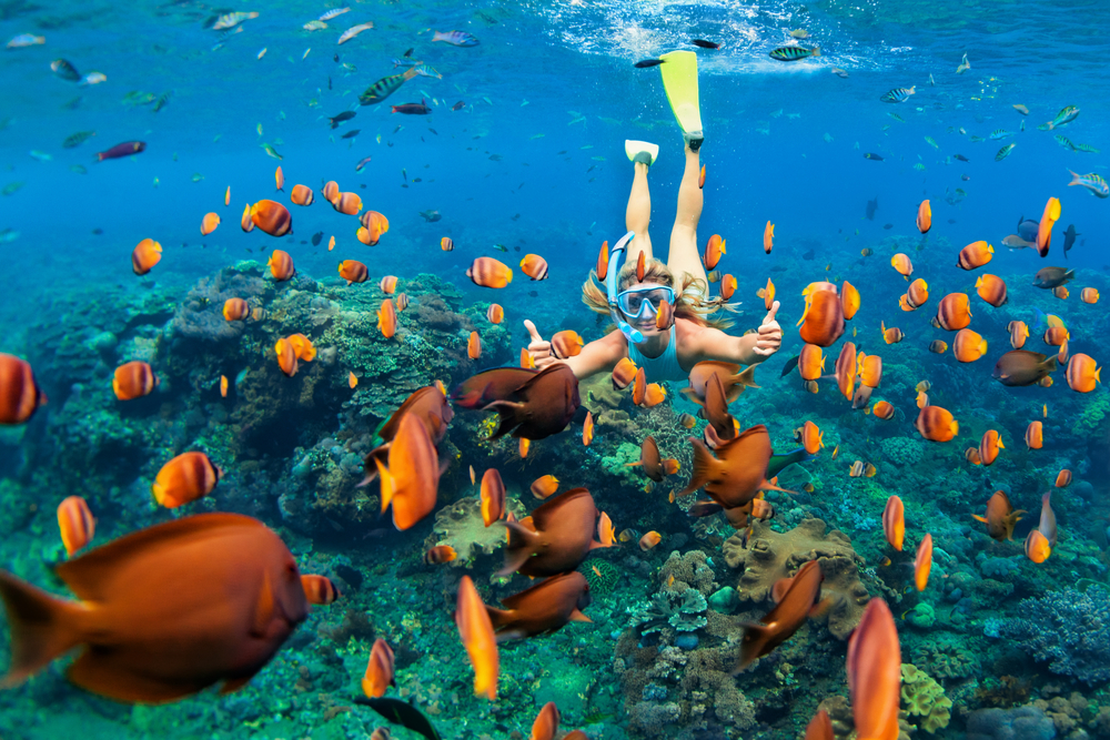 snorkel-cancun